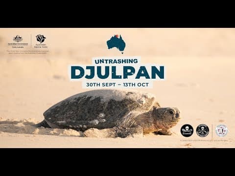 Untrashing Djulpan - The Miyapunu Fight