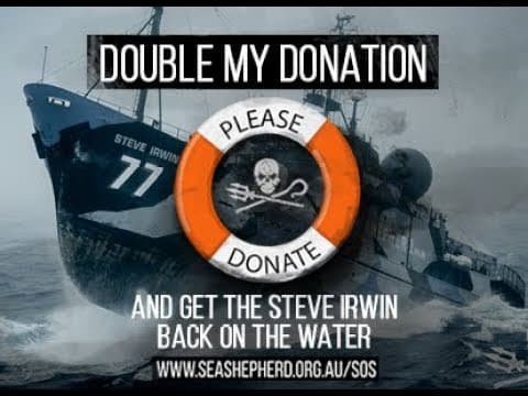 Double Your Donation to get the M/Y Steve Irwin back out on the water!