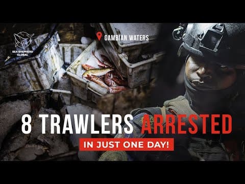 8 Trawlers BUSTED in the Gambia