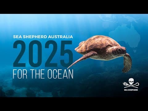 Sea Shepherd Australia | 2025 Year in Review