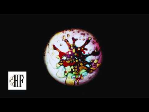 Psychedelic Liquid Light Show — Joshua's Lights at the Fillmore 1968