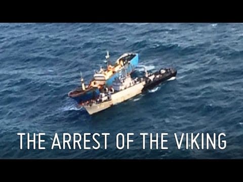 The Arrest of the Viking