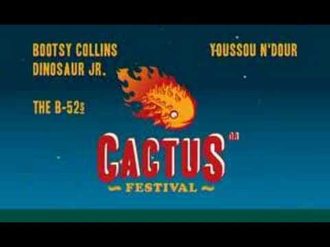 Cactusfestival 2008