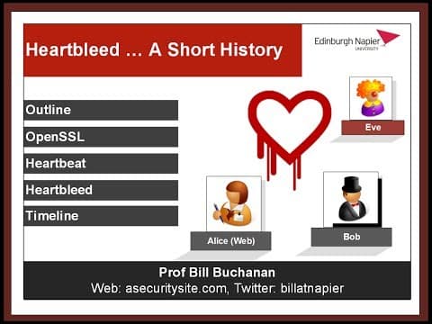 Heartbleed causes, implementation and timeline, at NISC 2014