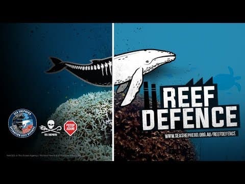 Operation Reef Defence to Stop Adani!