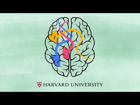 How the brain learns to read