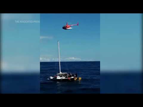 After three months adrift, sailor and dog return to land