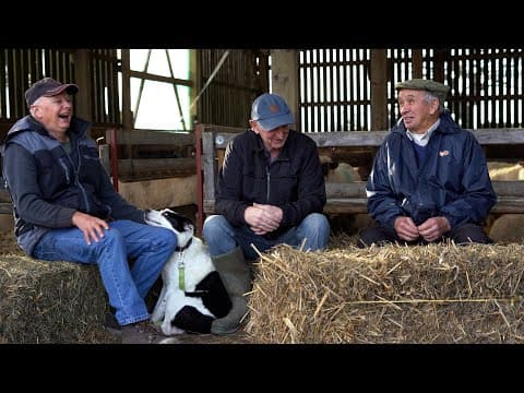 Sheepdog Memories: A conversation about Manx sheepdog trials