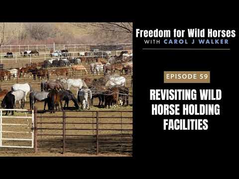 59. Revisiting Wild Horse Holding Facilities
