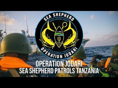 Sea Shepherd joins forces with Tanzania to stop illegal fishing