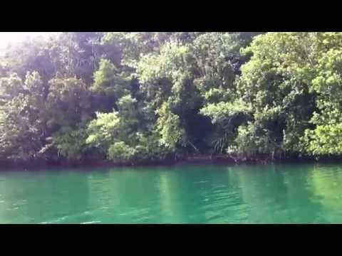 Crocodile hunting in Marovo Lagoon