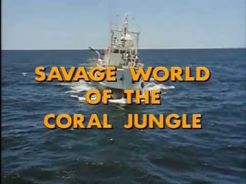 Savage World of the Coral Jungle, Episode 3 of 37, Jacques Cousteau Odyssey. The real Life Aquatic