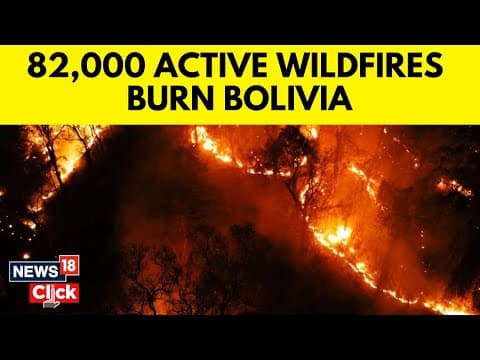 The 2019 Chiquitano fires