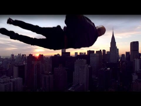 Gojira — Silvera