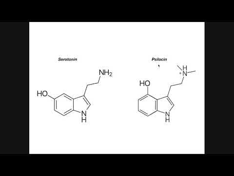 Psilocybin: Biosynthesis, Mechanism of Action & Metabolism