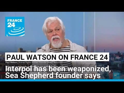 Interpol has been weaponized, Sea Shepherd founder Paul Watson says • FRANCE 24 English