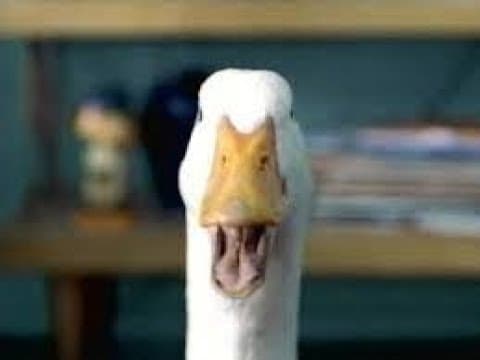 Aflac Duck