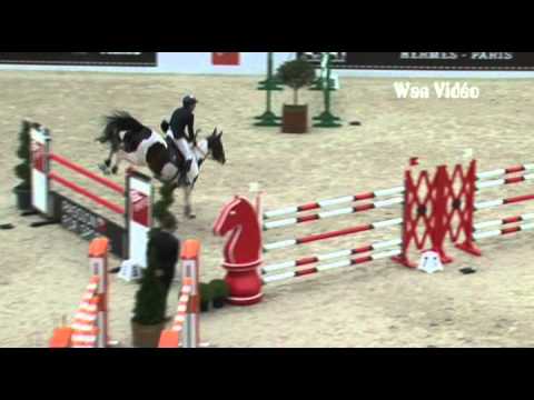 Catapulte & Michel Robert Saut Hermes 2012 Prix GL Events 1m50