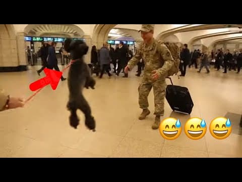 Dog Reunited With Soldier