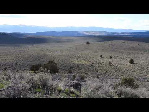 Vast and Wondrous - Scene and Herd Wild Horses