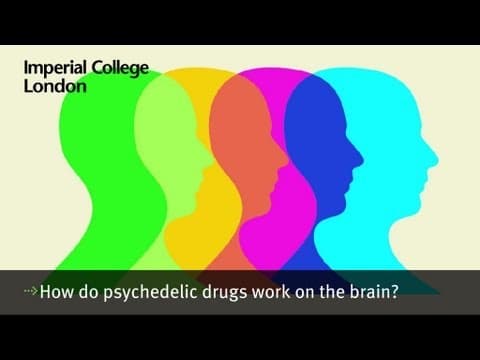 How Do Psychedelic Drugs Work on the Brain? | Imperial College London