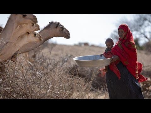 The Horn of Africa drought