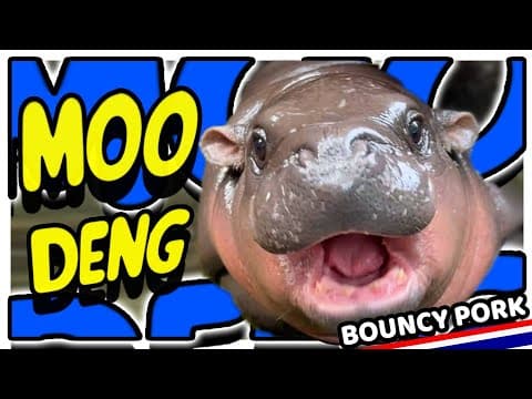 Alan Aztec - Moo Deng (feat. Bouncy Pork)