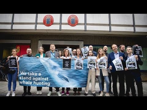 EU lawmakers call for release of marine activist Paul Watson in Denmark