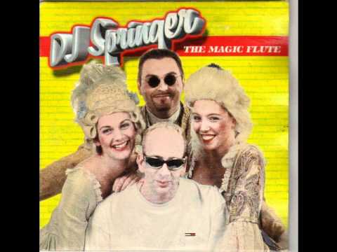 DJ springer-the magic flute