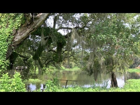 The Bayou Corne sinkhole