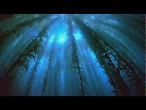 Above & Beyond - Home (Original Mix, 2006)