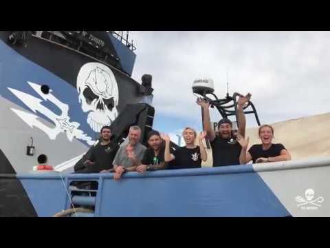 #SaveOurSteve: An Update from the M/Y Steve Irwin