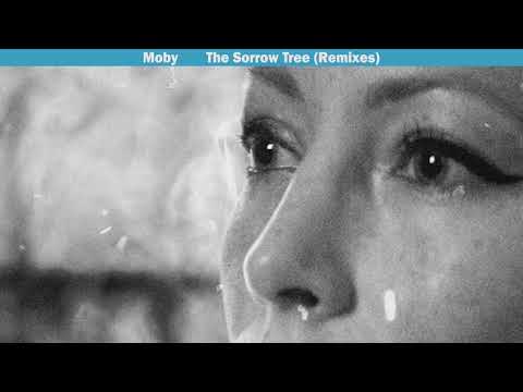 Moby - The Sorrow Tree (Post Hominum Remix)