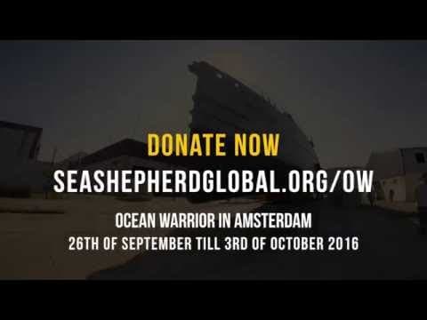 Be a Part of Sea Shepherd History