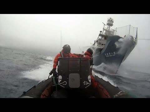 The Sea Shepherd Delta team in action during Operation No Compromise