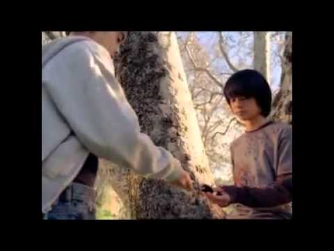 Pokéwalker — TV ad