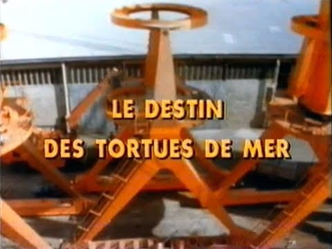 L' odyssée Sous - Marine, Le destin des tortues de mer, documentary