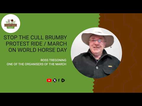 Stop The Cull Brumby Protest Ride / March on World Horse Day with Ross Tregoning.