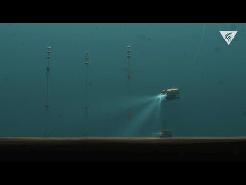 Robots in the Abyss: 30 years of research on the abyssal plain provides clues to climate change