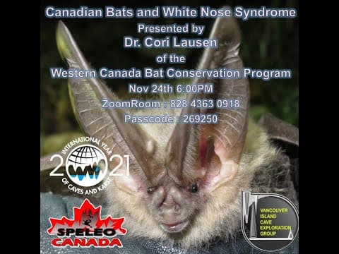 White-nose syndrome in bats: the westward march