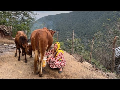 Village Life, Moving Back Animals From Grassland & Baking Bread and Lantil (2 of 2)