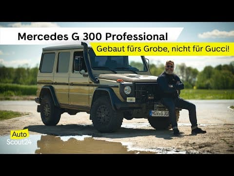 The G 300 Professional, the utilitarian W461