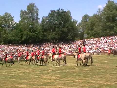 2009.05.30 Interessengemeinschaft Dülmener Wildpferd zeigt Quadrille beim Dülmener Wildpferdefang