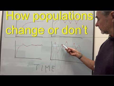 Population stability, cycles and chaos