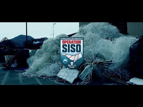 Operation SISO: The Best FAD Killer