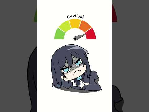 "Low Cortisol" (June 2026)