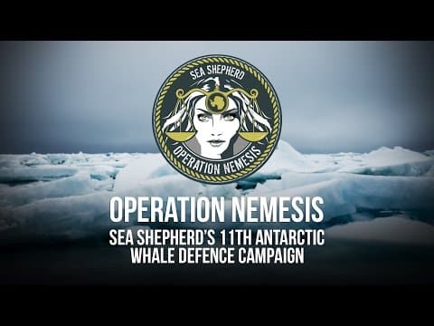 Operation Nemesis: Campaign Launch
