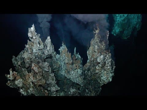 A Spectacular Success | Ultra Fine-Scale Seafloor Mapping Expedition - Week 4