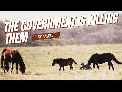 Australian Brumbies May Face Extinction if Something Doesn't Change with Kiki Sjoberg | Episode 78
