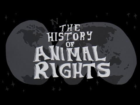 History of Animal Rights | Moby's Veganniversary